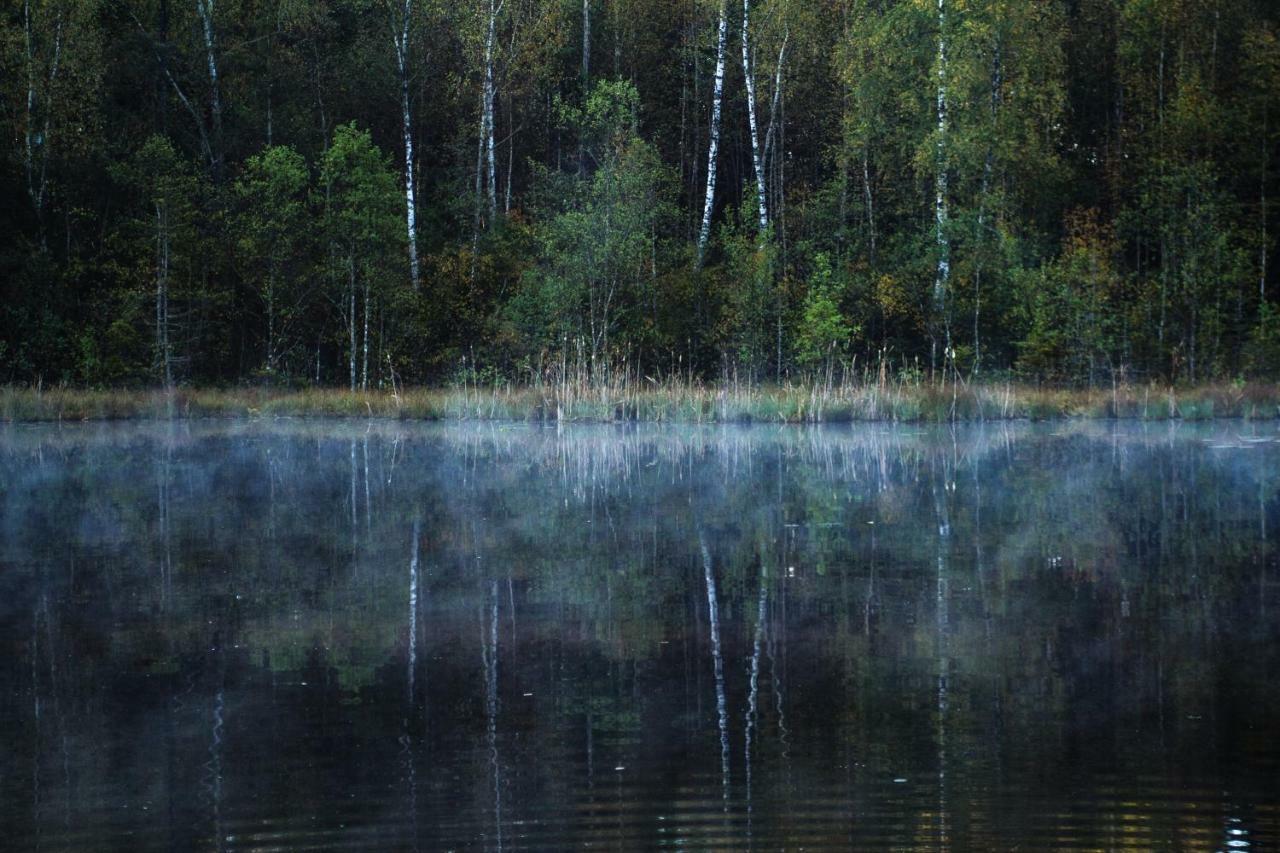 Namelis Salia Vynuogyno Villa Budziliai Exteriör bild